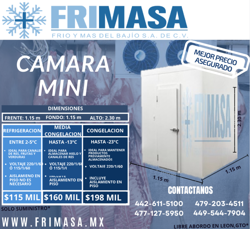 CAMARAS MINIS